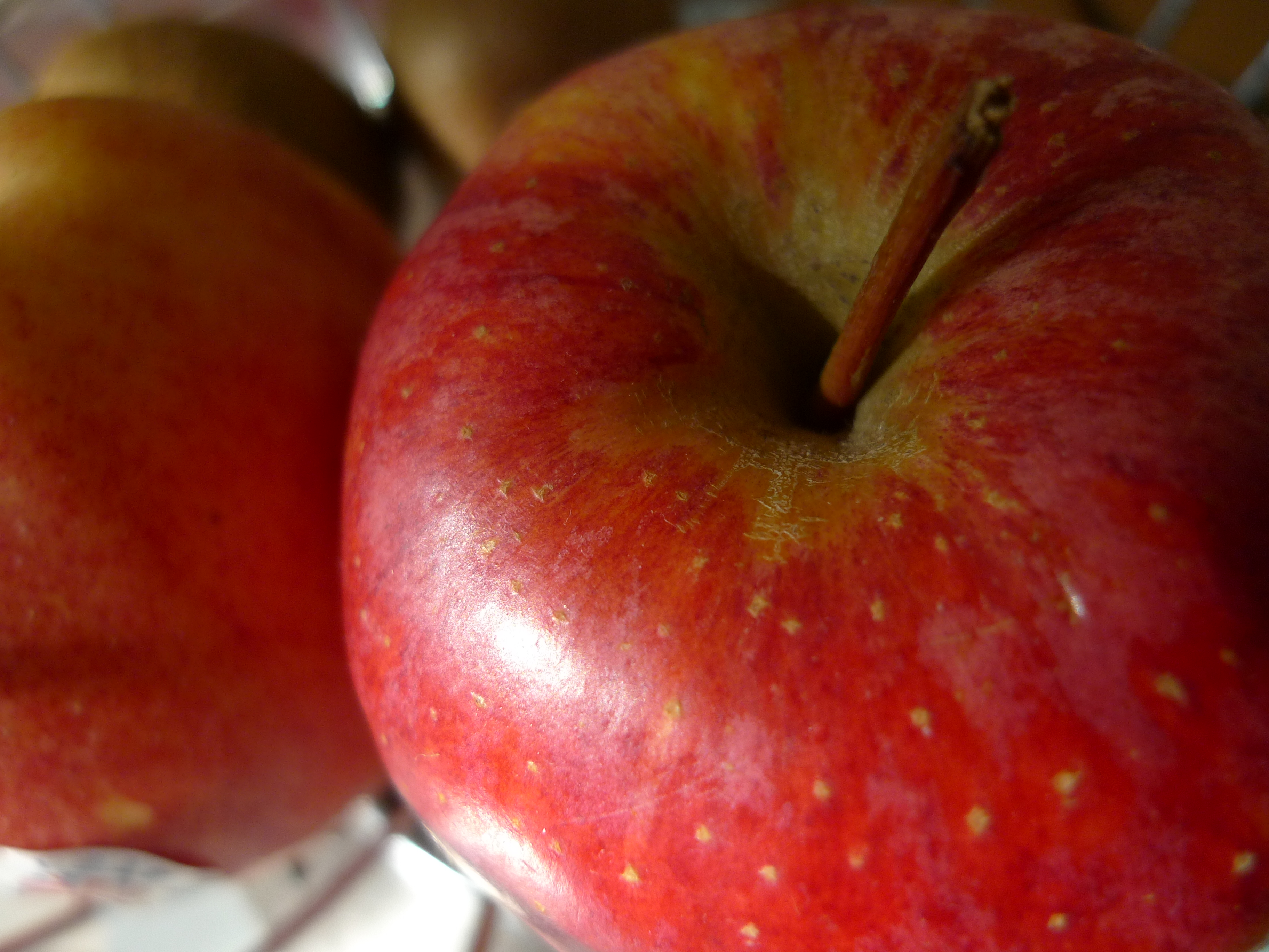 Сорт крупных яблок. Сорта яблок. Красные яблоки сорта. Сорт красных сладких яблок. Яблоки в крапинку.